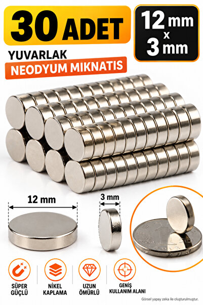 Dünya Magnet 30 Adet Çap 12mm X Kalınlık 3mm Yuvarlak Süper Güçlü Neodyum Mık...