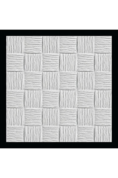 syncticaret PAKPİYER Tavan Kaplama Kartonpiyer Stropiyer 50x50 Hasır Tavan Ka...