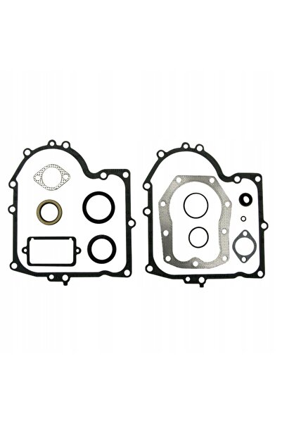 Granit Kit de garnituri motor BRIGGS STRATTON 494241 490525