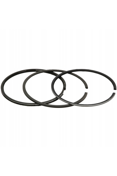 Granit Set de segmenți de piston 1909234