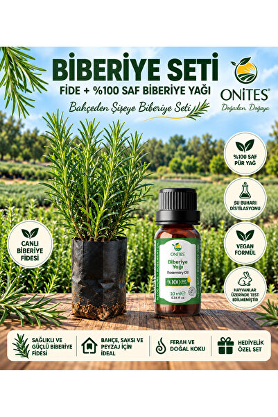 Biberiye Seti – 1 Adet Biberiye Fidesi + 10 ml %100 Saf Biberiye Yağı