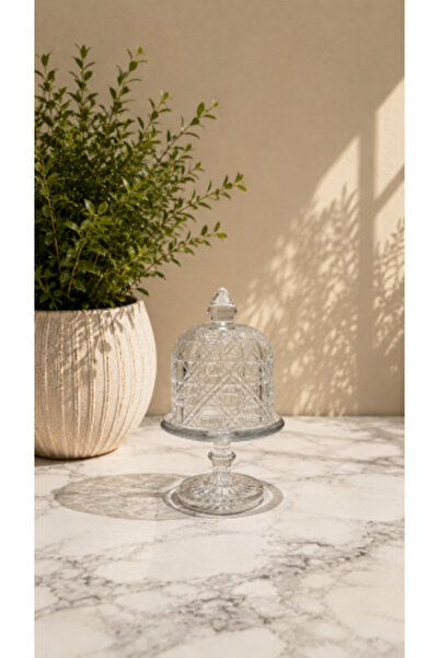 Genaric Glass dish with base and lid