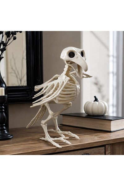 DD SHOP Schelet Decorativ Corb - Scheleti Suspendabili Halloween