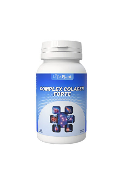 OEM Collagen Forte Complex