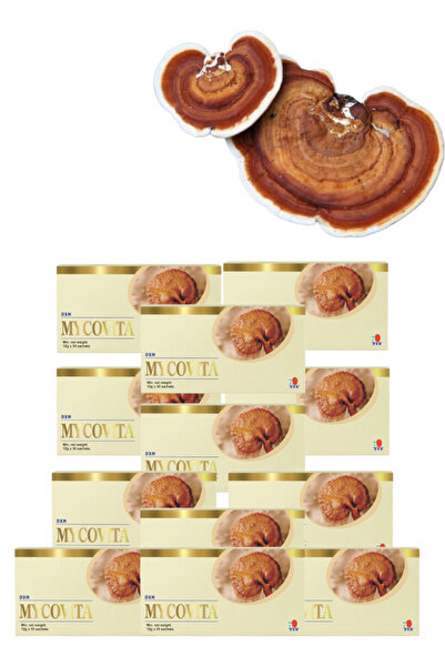 DXN 12 Pieces Mycovita 30 sachets × 12 g