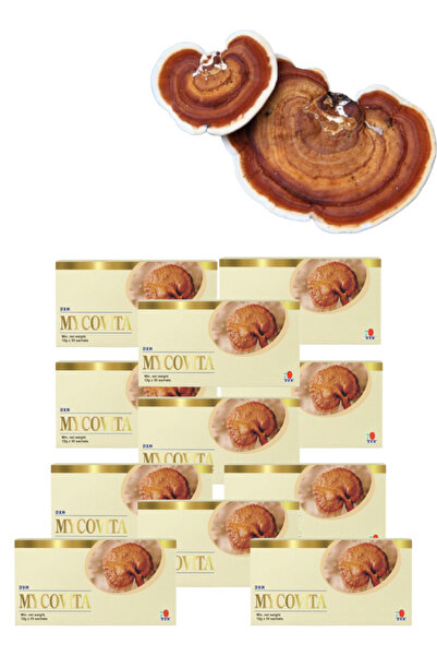 DXN 11 Pieces Mycovita 30 sachets × 12 g