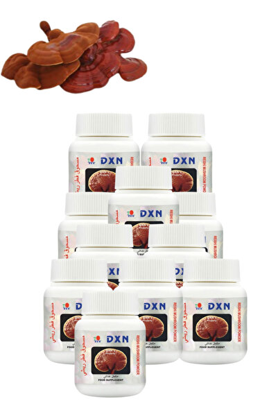 DXN 11 Pieces Reishi Mushroom Powder 70 g