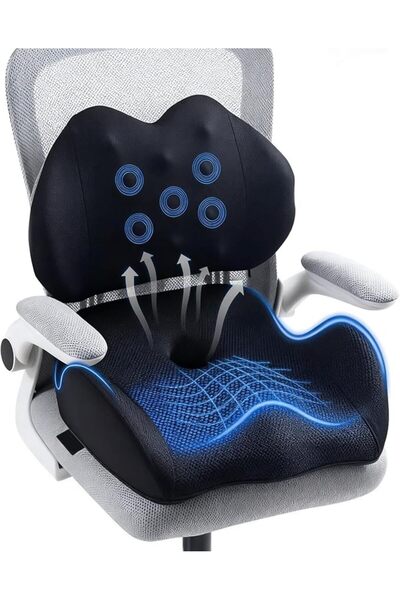GENERAL Large Memory Foam Seat Cushion Lumbar Support Pillow for Sciatica & T...