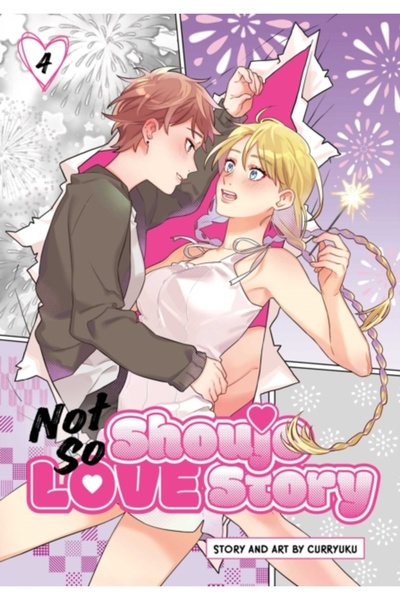 Viz Media Not So Shoujo Love Story, Vol. 4