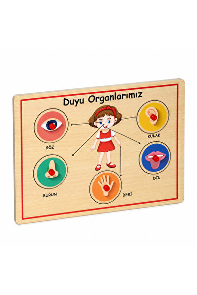 kumkumticaret 166/167 Wooden Handle Organs