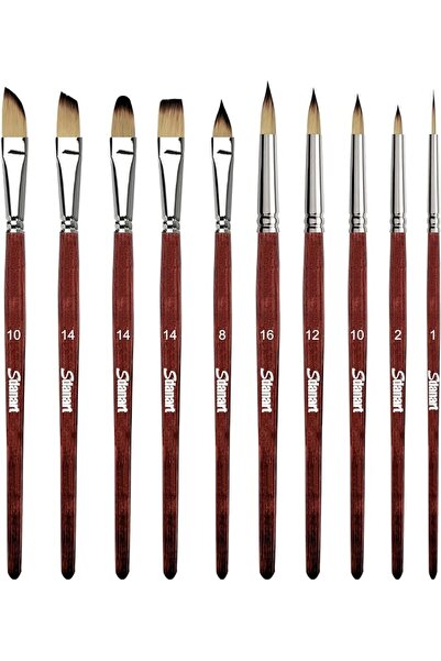 Generic Sdanart Watercolor Brushes Professional，10 PCS Artist Paint Brush Shapes