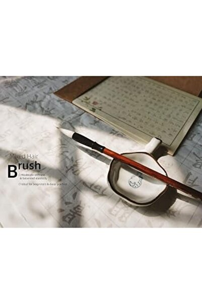Generic لا حاجة للحبر - قطعة قماش سحرية للمبتدئين