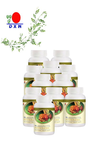 DXN 11 Pieces Potenzhi 90 capsules (370 mg each)