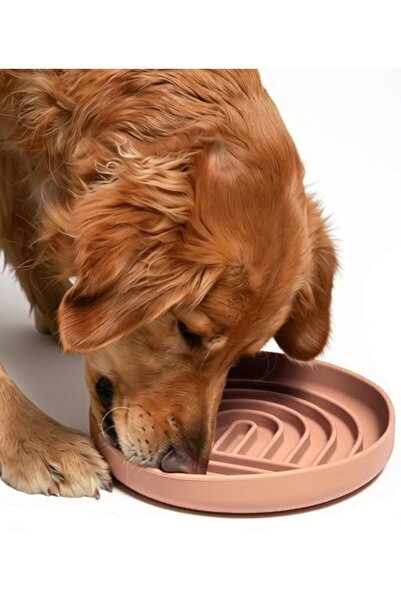 off shoulder Slow Feeder Dog Bowl: The Slowdown Bowl is A Modern, Silicone Pu...