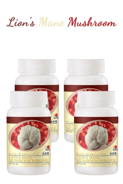 DXN 4 Pieces Lion's Mane Mushroom Powder 30 g