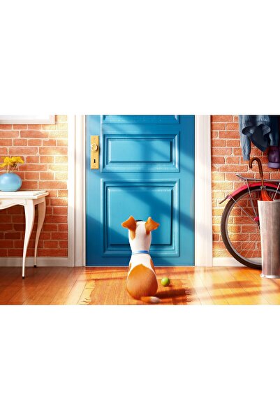 OEM Poster 2016 Viața secretă a animalelor de companie, 61x90 cm, poster5435