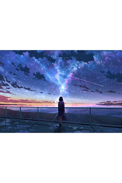 OEM Poster Anime Girl Watching Meteor Streak Sky, 61x90 cm, poster6656