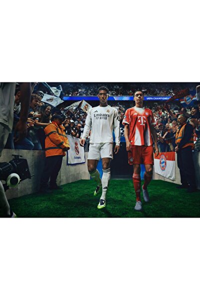 OEM Poster Ea Sports Fc 26 Ediție Standard, 61x90 cm, poster6145
