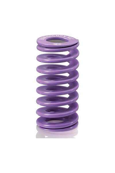 LİLA KALIP YAYI BORDIGNON (1L13038)