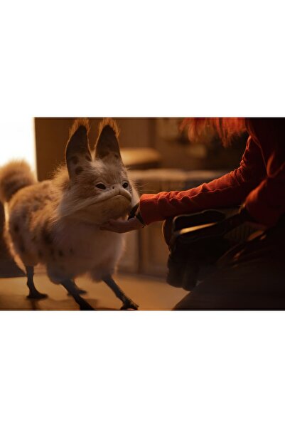 OEM Αφίσα Loth Cat Star Wars Ahsoka, 61x90 εκ., poster7724