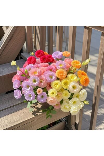 Bloom & Sow Seed بذور زهرة الحوذان متعددة الألوان، ذات أزهار مزدوجة مموجة، زه...
