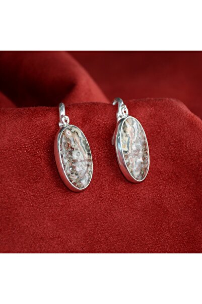 BlackCraft Silver Frame Earrings with Agate Stone