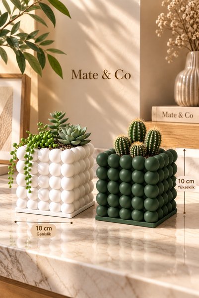 Mate&Co Bubble Baloncuk Tasarım 2'Li Sukulent Saksısı 10 cm ( Çiçek Dahil Değ...