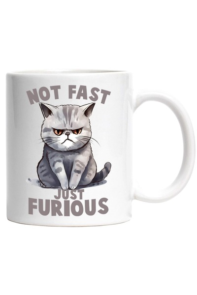 INOVATIX Cana alba personalizata,furioasa Not fast,just furious,rapida, supar...
