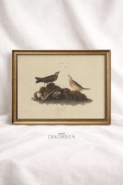 HOME DEKORİSTA Pictură cu păsări fără sticlă, cu ramă vintage, imprimare arti...