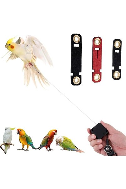 LinJie Bird Training Leash,Retractable Anti-Bite Parrot Harness