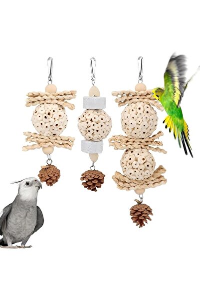 EXCEFORE 3 Pack Parrot Chew Toys, Bird Foraging Toys, Hanging Parrot Chew Toy...