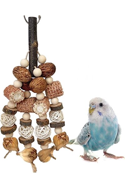 KASTWAVE Parrot Toys for Large Bird, Bird Toys, Natural Corncob Nut Hanging C...