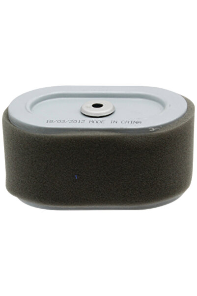 Other Filtru de aer BRIGGS STRATTON 33270558 797033