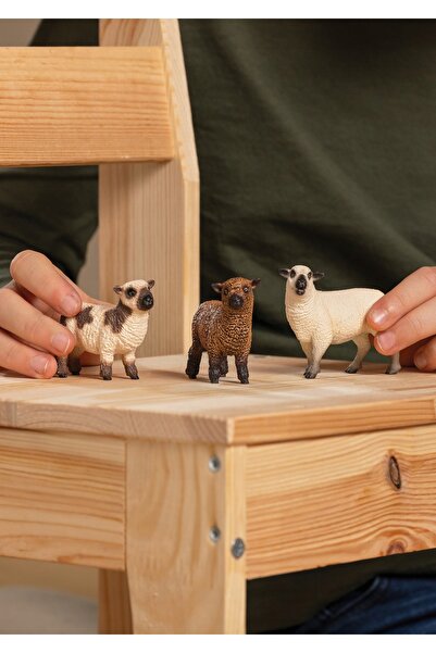 SCHLEICH FARM WORLD 42660 SET DE OI PĂRĂSĂRE PĂRĂSEȘTI
