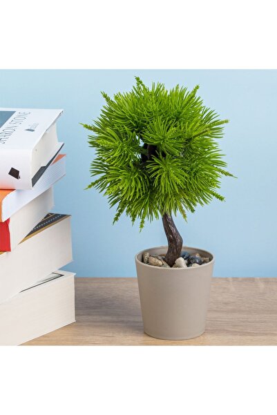 CATIANO Ghiveci Decorativ Taupe cu Planta Artificiala Bonsai Ø6x19cm