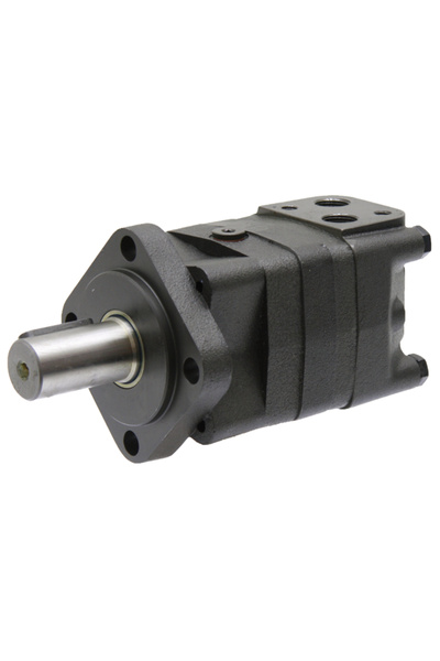 Other BMS 315-E4 BD D=32MM 1/2 OMS 315 motor