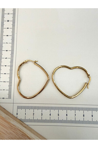 zadenza gold Stainless steel heart model ring earrings 46mm