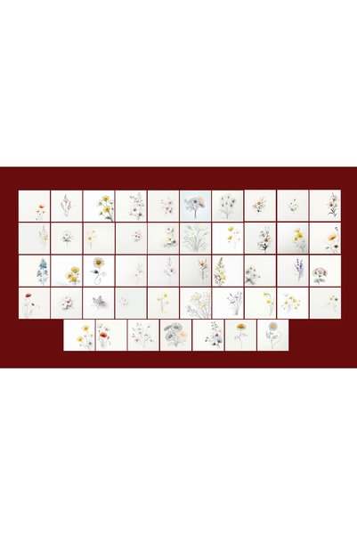 TELLGRAF Flower Themed Postcard Set (10X10 cm 47 Pieces)