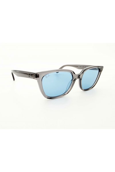Ray-Ban 2243D 139972 55 Unisex Sunglasses