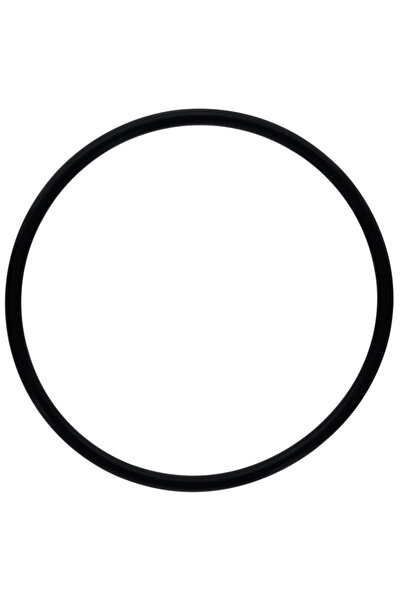 Granit O-ring 70923583, 1009659M1 Massey Ferguson
