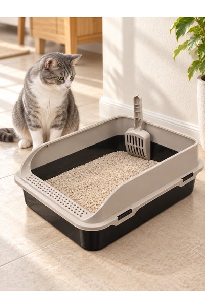 FERAH PLASTİK Kürekli Açık Kedi Tuvaleti Delikli Basamaklı Yüksek Kenarlı Kedi Kum Kabı Orta boy