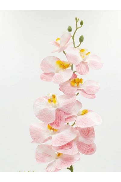 co arma Artificial Orchid Flower in Plastic Pot with Tied Bouquet Design 50cm Height