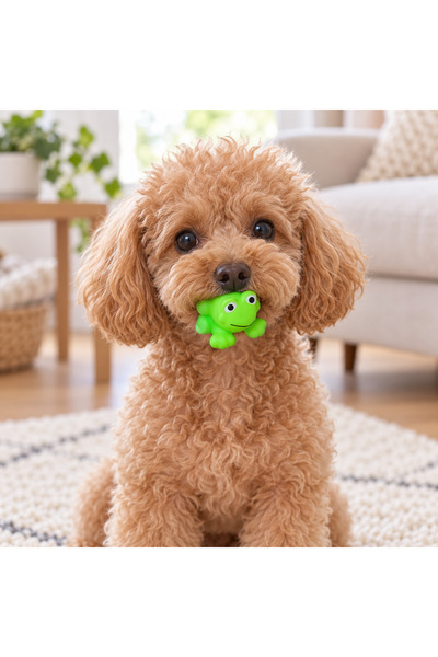 petbutik35 4 'lü köpek oyuncak seti (kurbağa - ördek - balık - köpek balığı)