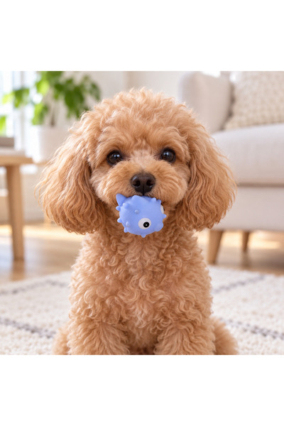 petbutik35 Pufferfish Toy Purple Biting and Scratching Toy