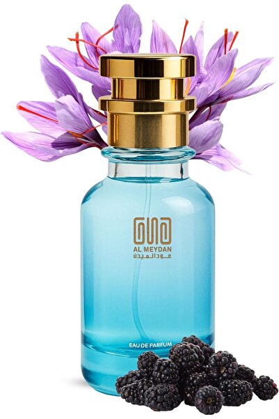 OUD AL MEYDAN Oil Based Perfume for Men & Women – Impression of Accorrd Oudd Byerado – Crafted with Notes of Leather, Fruity Oud, Warm Spices, Rum & Patchouli – Long Lasting Oil Perfume (200 ML)