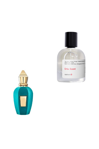 Option B عطر بي ايربا سينت - 50 مل