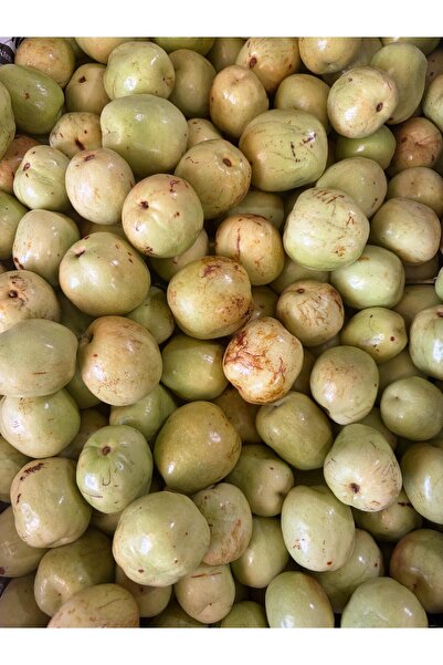 Taze Hünnap 1 kg