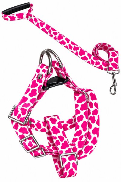 Angelapets Dog Chest Harness and Walking Strap Set