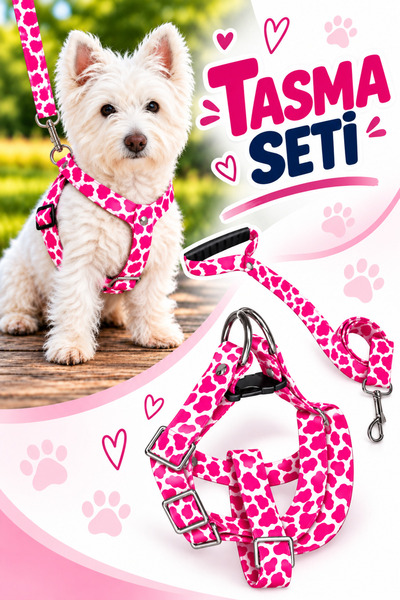 Angelapets KÖPEK GÖĞÜS TASMASI VE GEZDİRME KAYIŞI SETİ