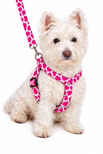 Angelapets Dog Chest Harness and Walking Strap Set